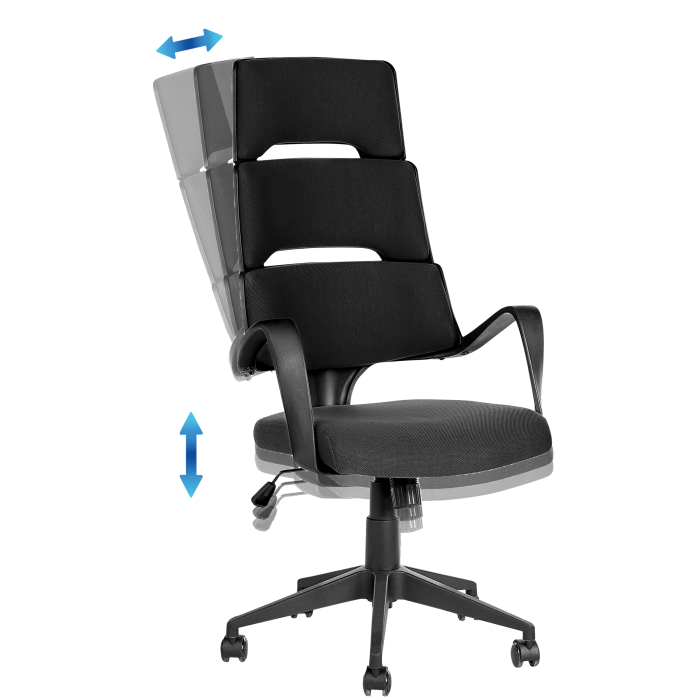 Scaun ergonomic GRANDIOSE Negru [8]