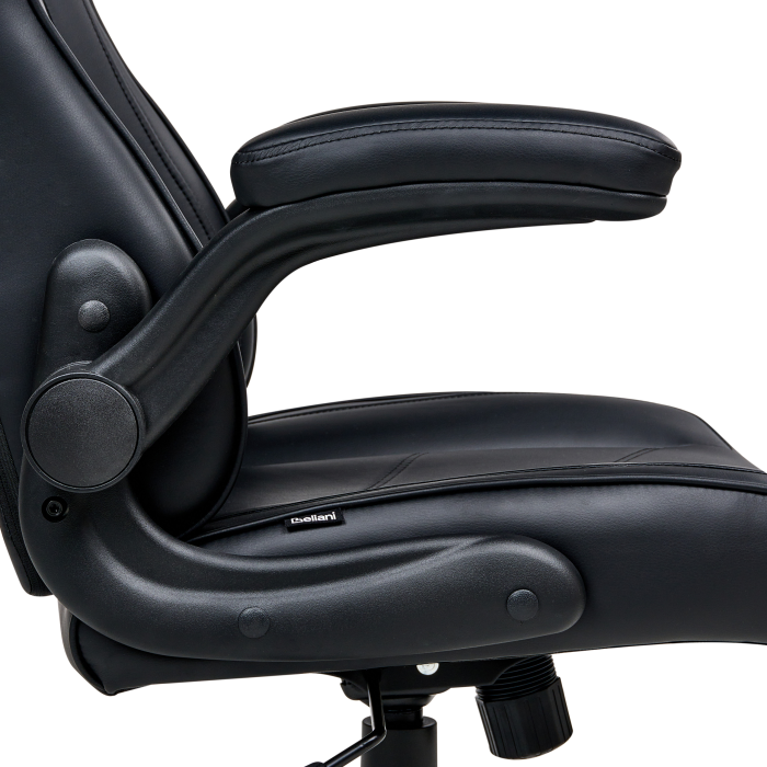 Scaun ergonomic TRIUMPHER Piele ecologică Negru [7]