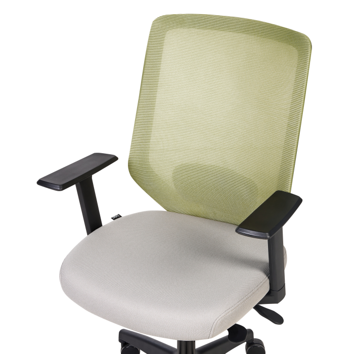 Scaun ergonomic VIRTUOSO Verde deschis [7]