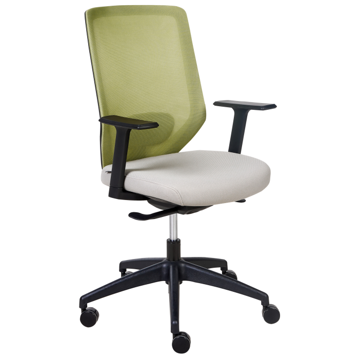 Scaun ergonomic VIRTUOSO Verde deschis [2]