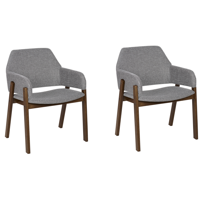 Set of 2 dining chairs ALBION Grey [2]