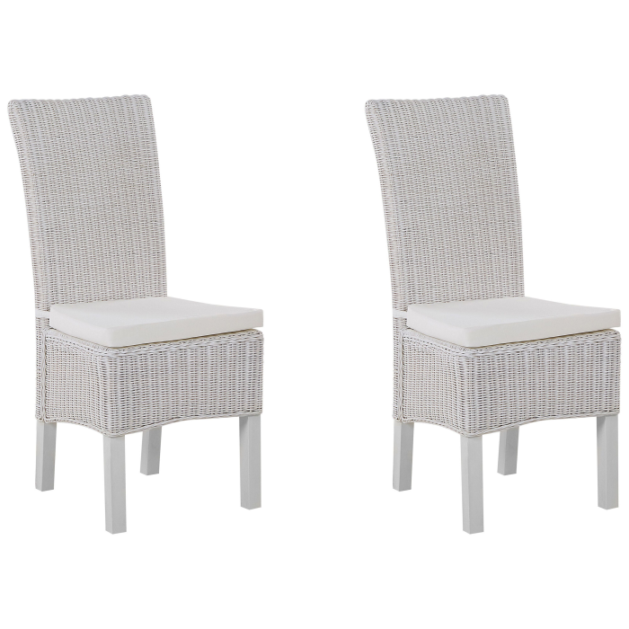 Set of 2 dining chairs ANDES Rattan White [2]