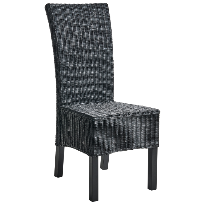 Set de 2 scaune dining ANDES Ratan Negru [5]