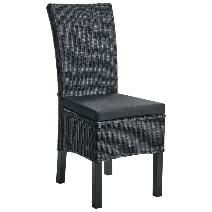 Set de 2 scaune dining ANDES Ratan Negru [4]