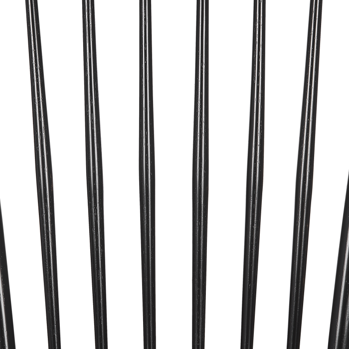 Set of 2 dining chairs BURGES Black wood [9]