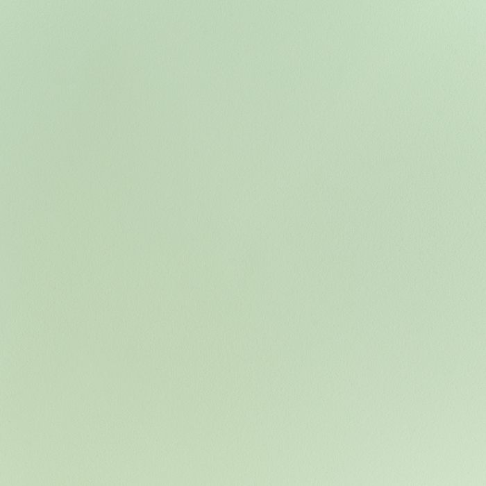 Set of 2 Dining Chairs UTICA Light Green [9]