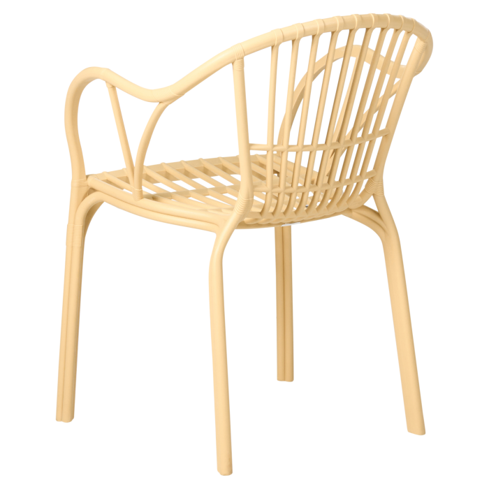 Set de 4 scaune de grădină ANDORA Bej [6]