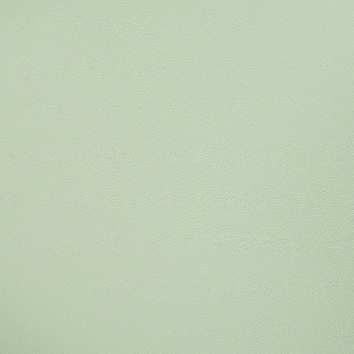 Set of 4 dining chairs MORILL Light Green [9]