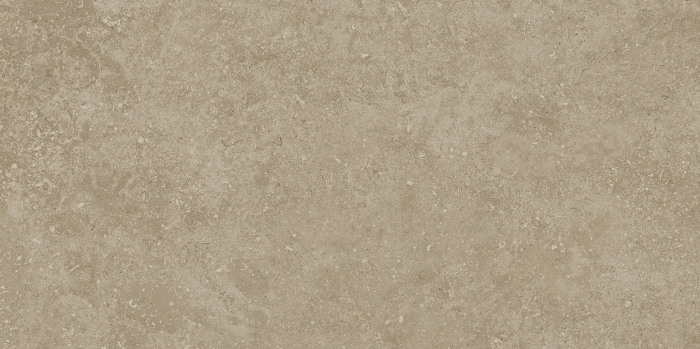 HALEN TAUPE 60X120RT tile with a matte finish and cement/stone-inspired texture—an elegant and versatile choice for any environment. [1]