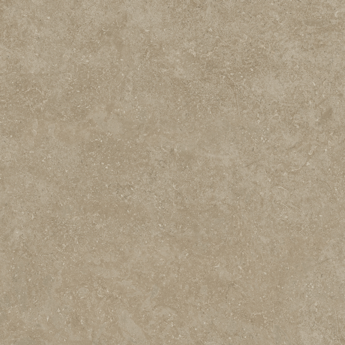 GRESIE HALEN TAUPE 60RT 60X60X8 - finisaj mat și aspect de beton [1]