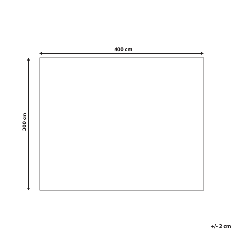 Covor BOGAZOREN Bej 300 x 400 cm Iută [2]