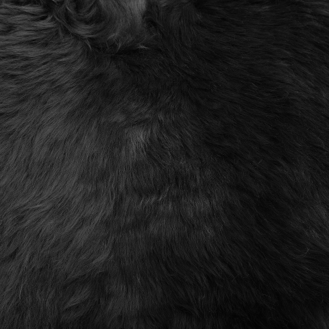 Sheepskin rug ULURU Black 65 x 110 cm [3]