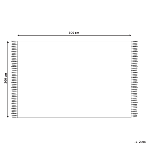 ERICEK Beige 200 x 300 cm Jute [2]