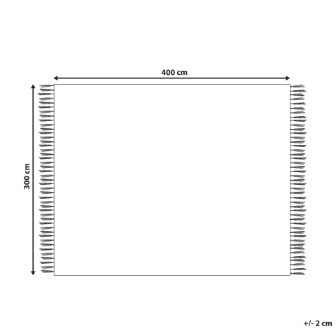 Covor ERICEK Bej 300 x 400 cm Iută [2]
