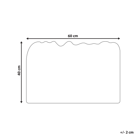Entrance mat ANAMUDI Natural 40 x 60 cm Coconut fiber [2]