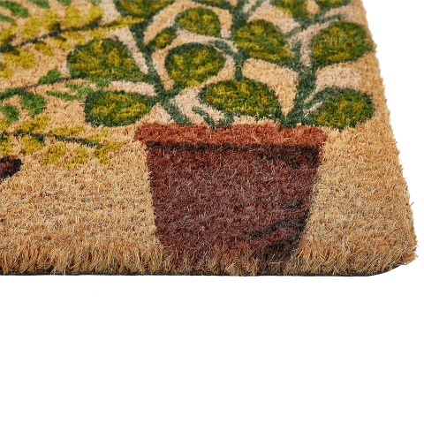 Entrance mat ANAMUDI Natural 40 x 60 cm Coconut fiber [4]