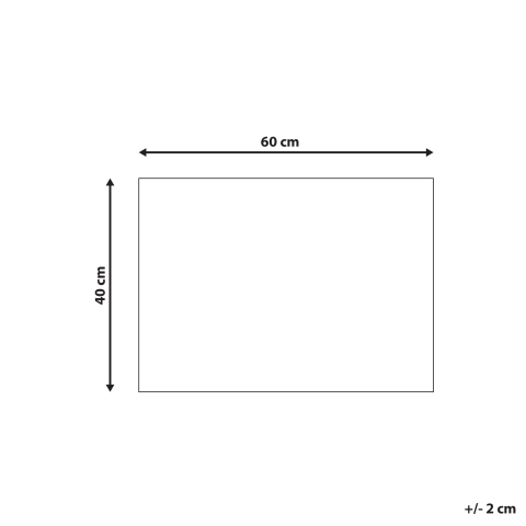 Covor intrare ASIR Natural 40 x 60 cm Text Fibră de nucă de cocos [2]