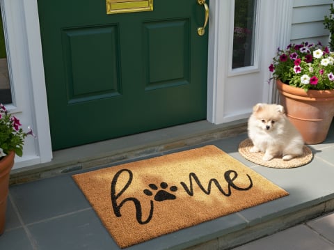 Covoraș intrare - Covor intrare BALANAN Natural 60 x 90 cm Fibră de nucă de cocos