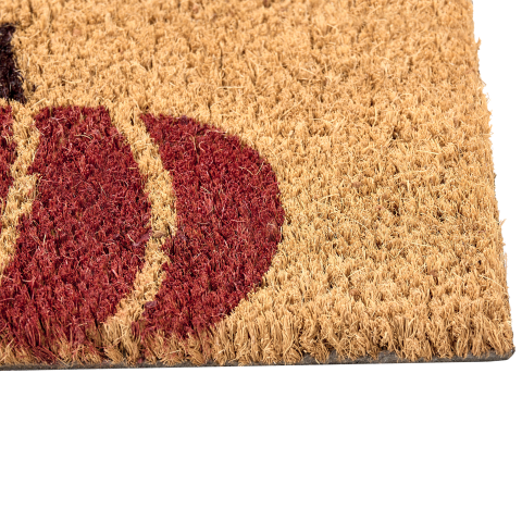 Covor intrare PANDIN Multicolor 60 x 90 cm Dovleac Fibră de nucă de cocos [4]