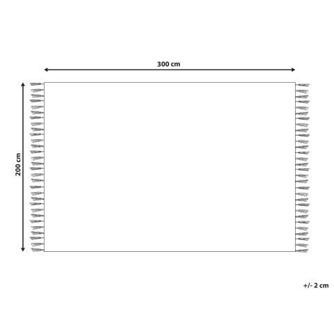 Covor KONURTAY Bej 200 x 300 cm Iută [2]