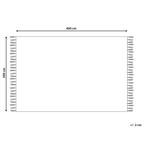 Covor SAZOO Bej 300 x 400 cm [2]