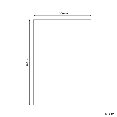 Covor shaggy CIDE Negru 200 x 300 cm [2]