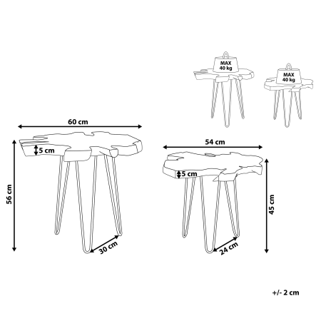Set de 2 mese laterale CAMROSE Lemn de tec Maro închis [2]