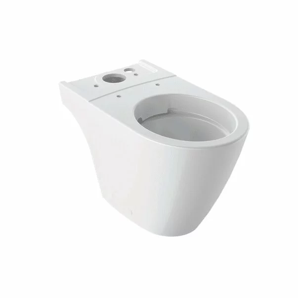 Vase wc statative - Vas wc pe pardoseala Geberit iCon Rimfree pentru rezervoare aparente