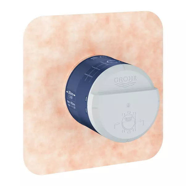 Corp incastrat Grohe RainShower universal cu limitator de debit [7]