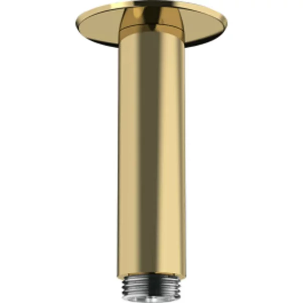 Brate si palarii dus - Brat de dus auriu Hansgrohe 10 cm rotund cu montaj pe tavan
