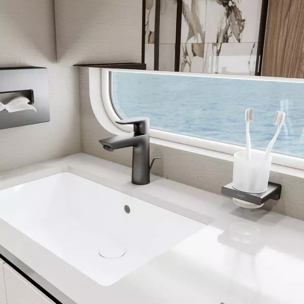 Suport periute de dinti Hansgrohe AddStoris negru - crom periat [2]