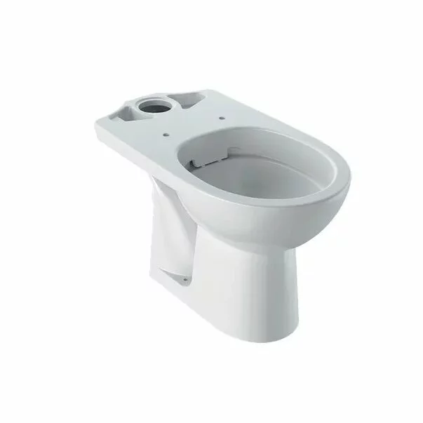 Vase wc statative - Vas wc pe pardoseala Geberit Selnova Rimfree cu spalare verticala evacuare orizontala