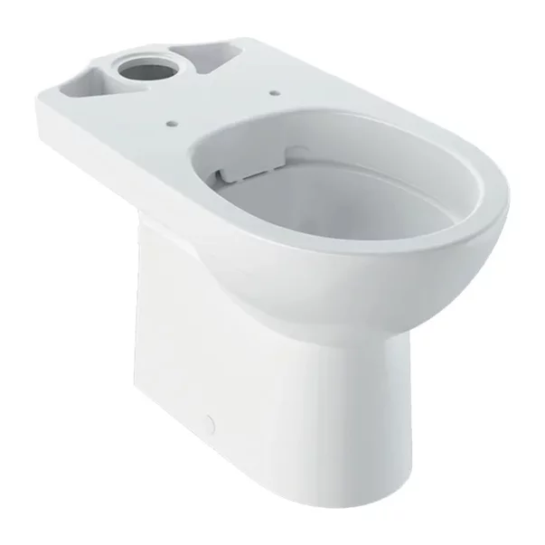 Vase wc statative - Vas WC pe pardoseala Geberit Selnova Rimfree alb lucios