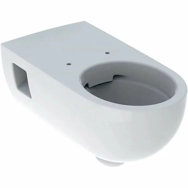 Obiecte Sanitare - Vas wc suspendat Geberit Selnova Comfort Rimfree cu spalare verticala proiectie alungita fara capac alb