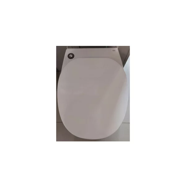 Capac wc softclose Rak Ceramics Morning [4]