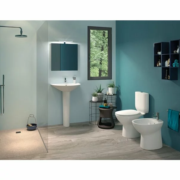 Set vas wc pe pardoseala cu rezervor si capac softclose Rimless Rak Ceramics Morning [2]