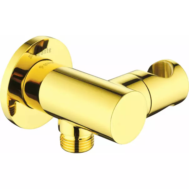 Conector furtun rotund Deante Cascada auriu cu suport dus [1]
