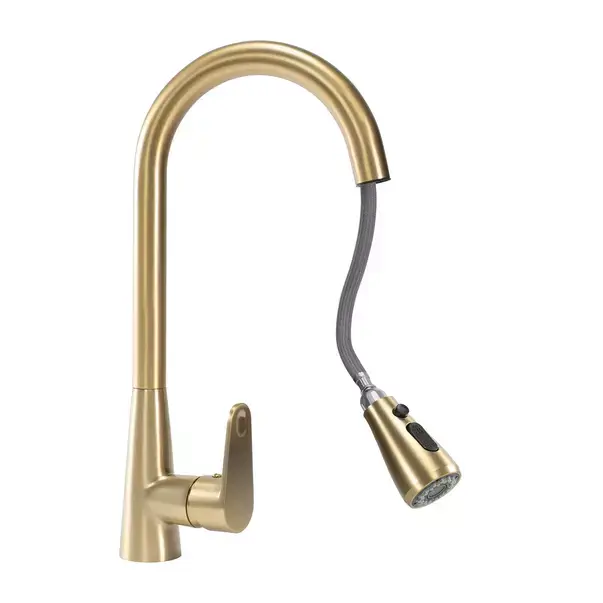 Baterie bucatarie cu dus extractibil Rea Mild auriu periat [5]