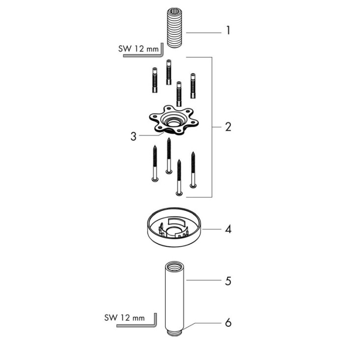 Brat de dus, Hansgrohe, cu montaj pe tavan, 10 cm, negru mat [3]