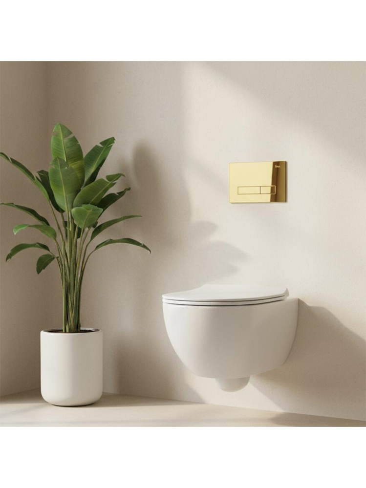 Cadru WC încastrat Rea cu buton HD auriu [2]