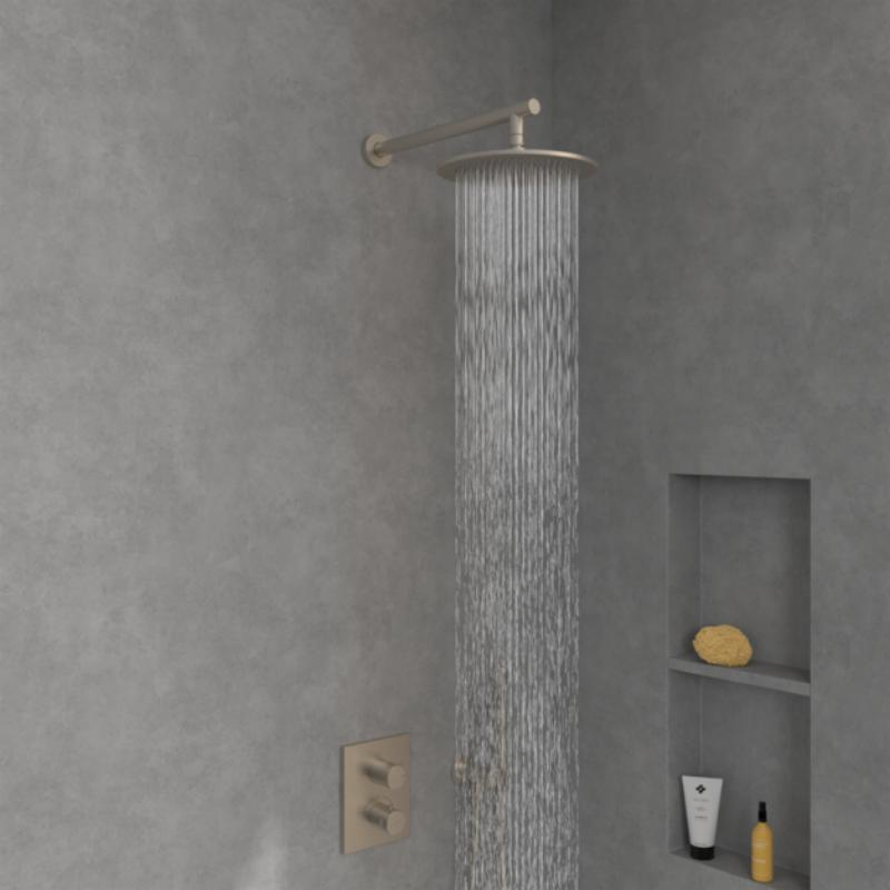 Cap de duș Villeroy&Boch, Universal Showers, Ø25 cm, bruhsed nickel [3]