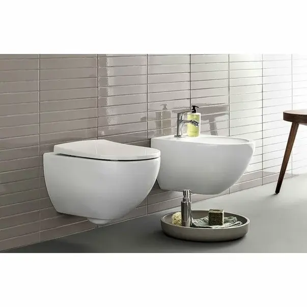 Capac wc Geberit Acanto inchidere lenta balamale Quick Release [2]