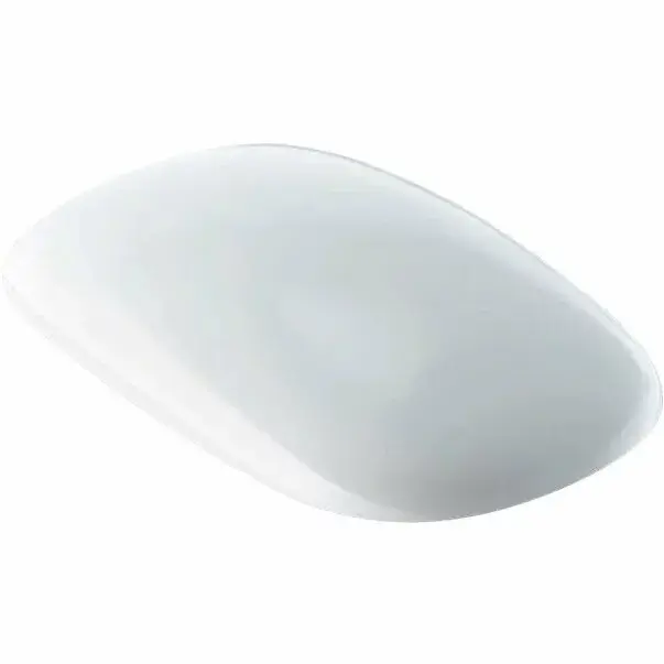 Capac wc Geberit Citterio [1]