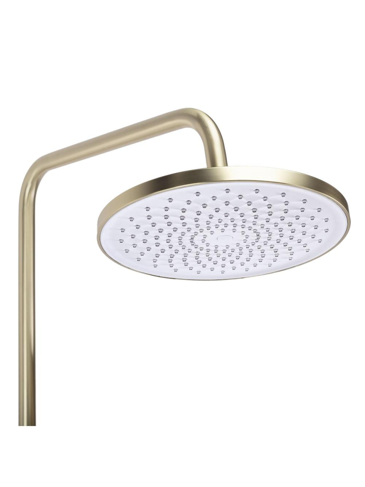 Coloana de dus Rea Ontario auriu periat [6]