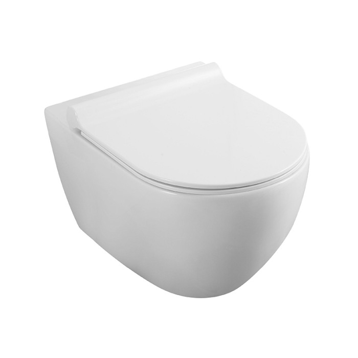 Pachet vas wc Fluminia Minerva cu capac slim softclose si rezervor wc Alcadrain Sadromodul AM101/1120 [2]