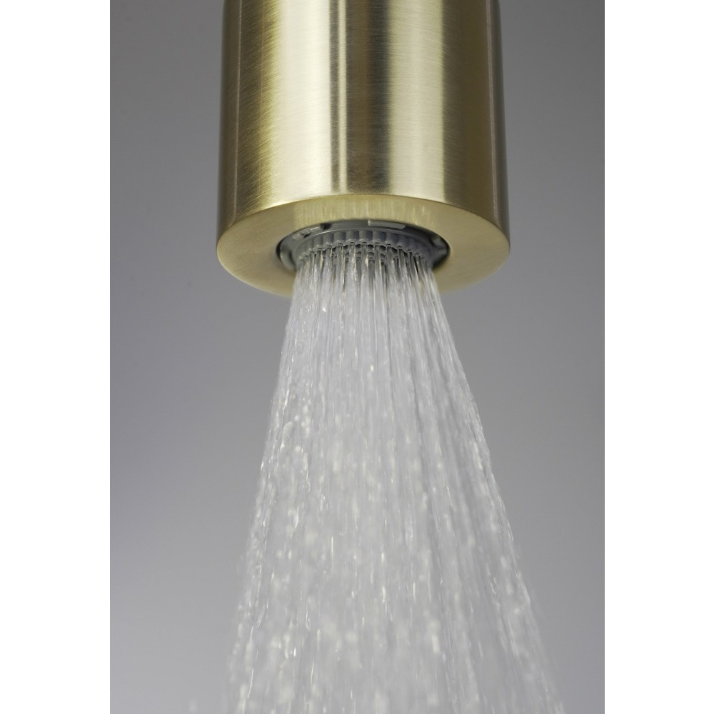 Palarie de dus fixa Deante 4,2 cm auriu [3]