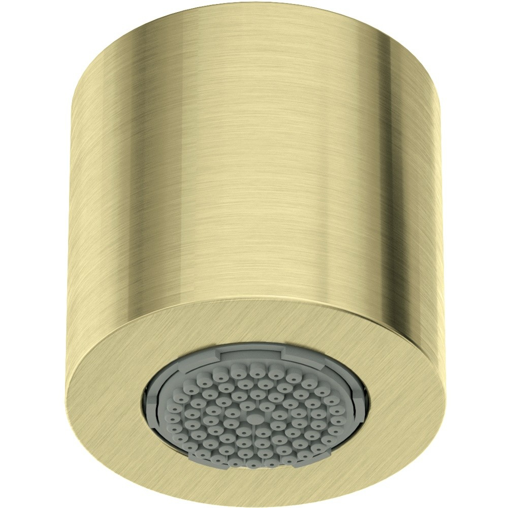Palarie de dus fixa Deante 4,2 cm auriu [1]