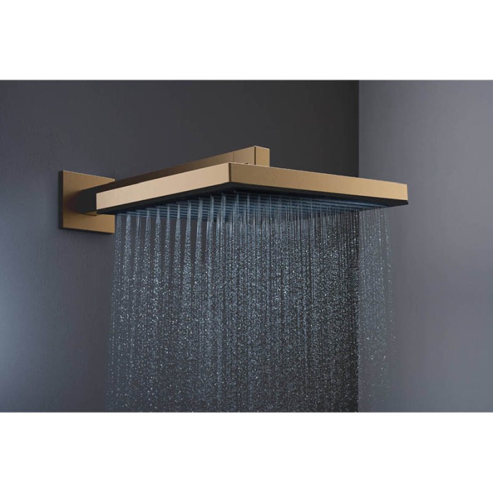 Palarie de dus, Hansgrohe, Pulsify E 260, 1 jet, bronz periat [4]