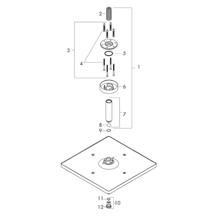 Palarie de dus, Hansgrohe, Raindance E 300, cu brat de montaj, negru mat [3]