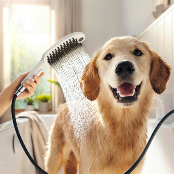 Para de dus, Hansgrohe, DogShower Select 150, 3 tipuri de jet, alb mat [5]